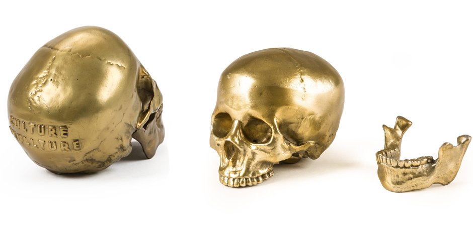 Статуэтка Seletti Wunderkrammer Human Skull Статуэтка Seletti Wunderkrammer Human Skull - Loft-Concept в Волгограде