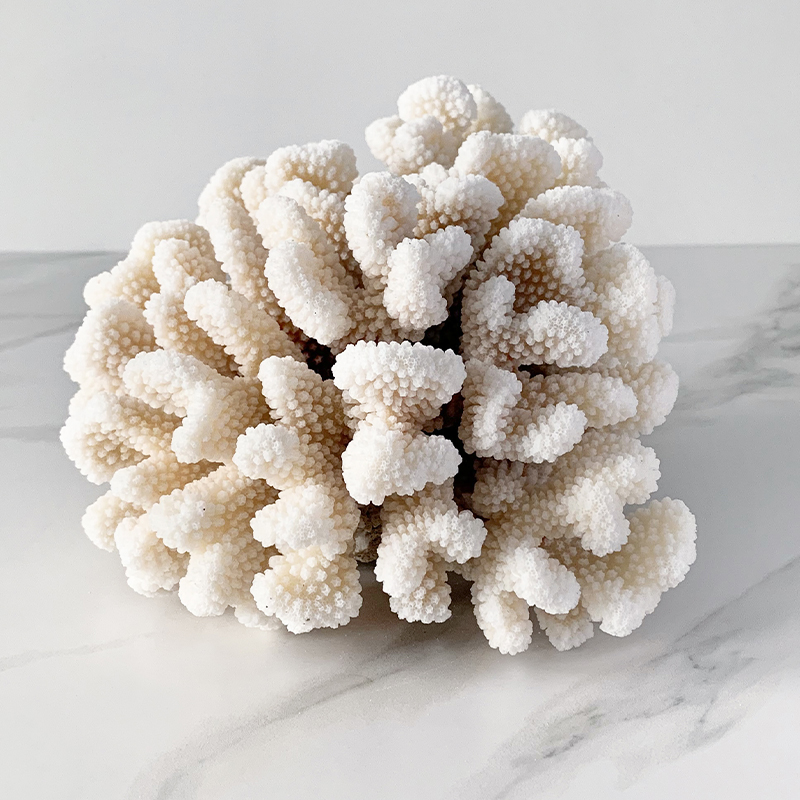 Статуэтка Brownstem Coral Статуэтка Brownstem Coral в Волгограде | Loft Concept