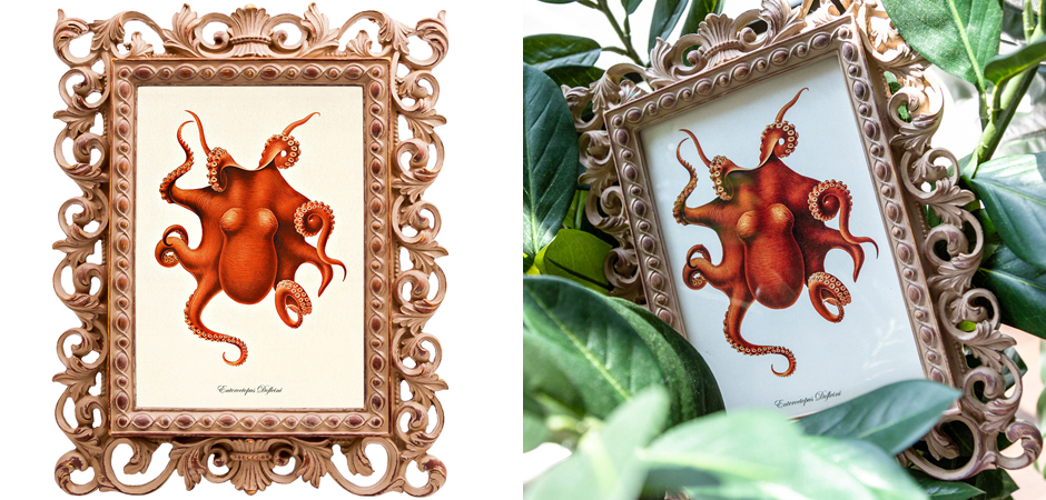 Постер Red Octopus Poster - Loft-Concept в Волгограде