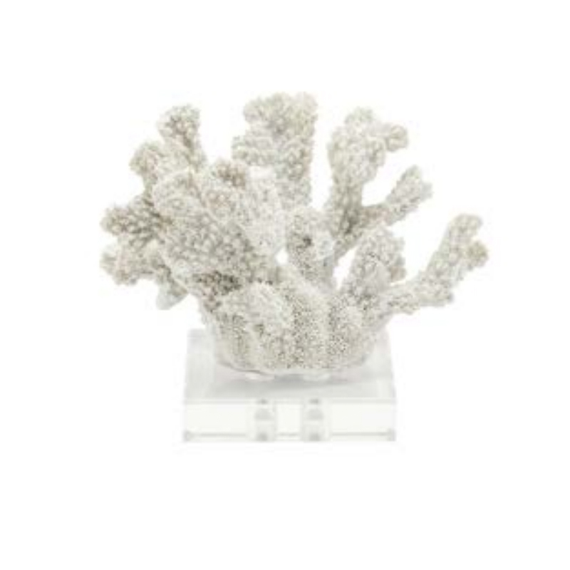 Статуэтка White Coral 12 Белый Прозрачный в Волгограде | Loft Concept 