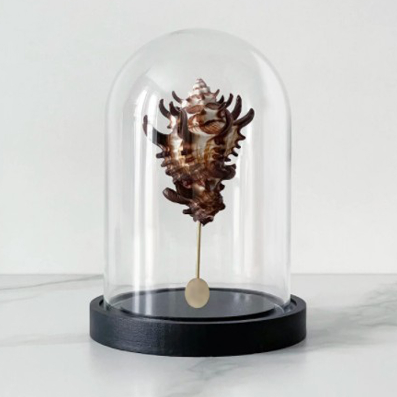 Статуэтка Vasum Tubiferum Glass Cloche Статуэтка Vasum Tubiferum Glass Cloche в Волгограде | Loft Concept