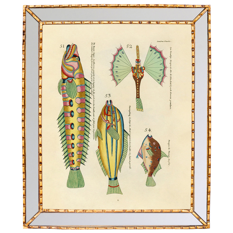Постер в зеркальной раме Fish Guide 5 Мульти Золотой в Волгограде | Loft Concept 