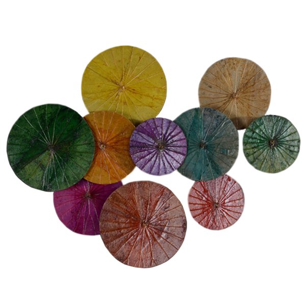 Арт-объект Disc wall art Lotus leaves Мульти Арт-объект Disc wall art Lotus leaves Мульти в Волгограде | Loft Concept
