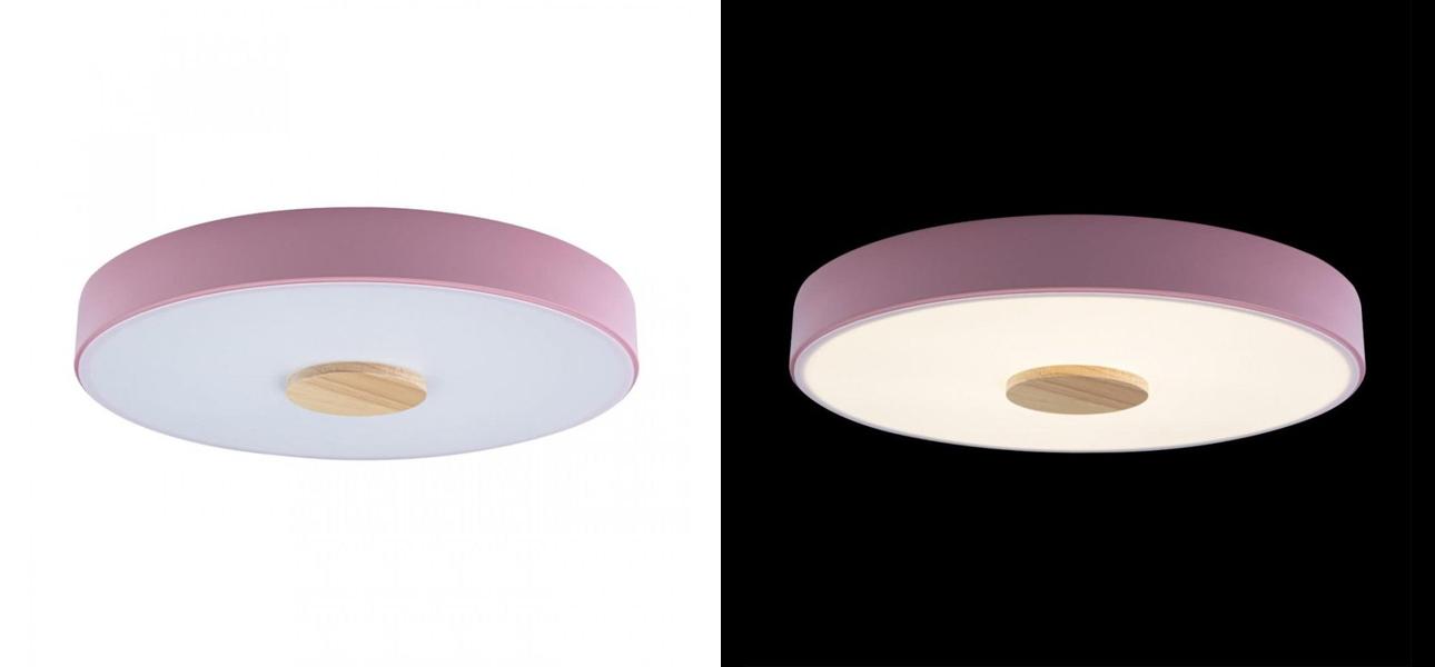 Потолочный светильник Wooden Wheels Pink диаметр 40 - фото №1