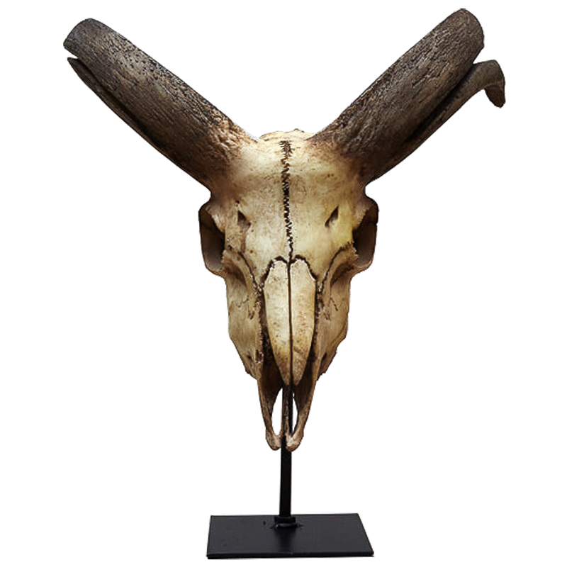 Аксессуар Goat Skull Бежевый Коричневый Черный Аксессуар Goat Skull Бежевый Коричневый Черный в Волгограде | Loft Concept