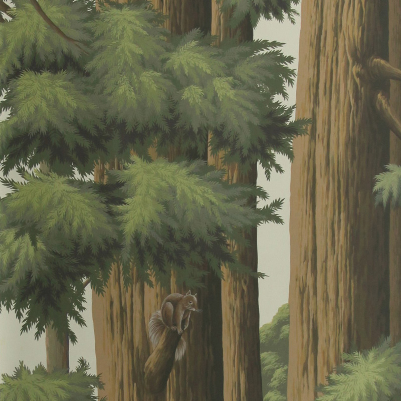 Обои ручная роспись Redwoods Colourway SC-281 on scenic paper Обои ручная роспись Redwoods Colourway SC-281 on scenic paper в Волгограде | Loft Concept