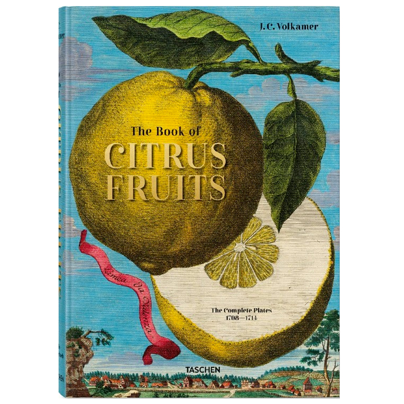 Volkamer Citrus Fruits  в Волгограде | Loft Concept 