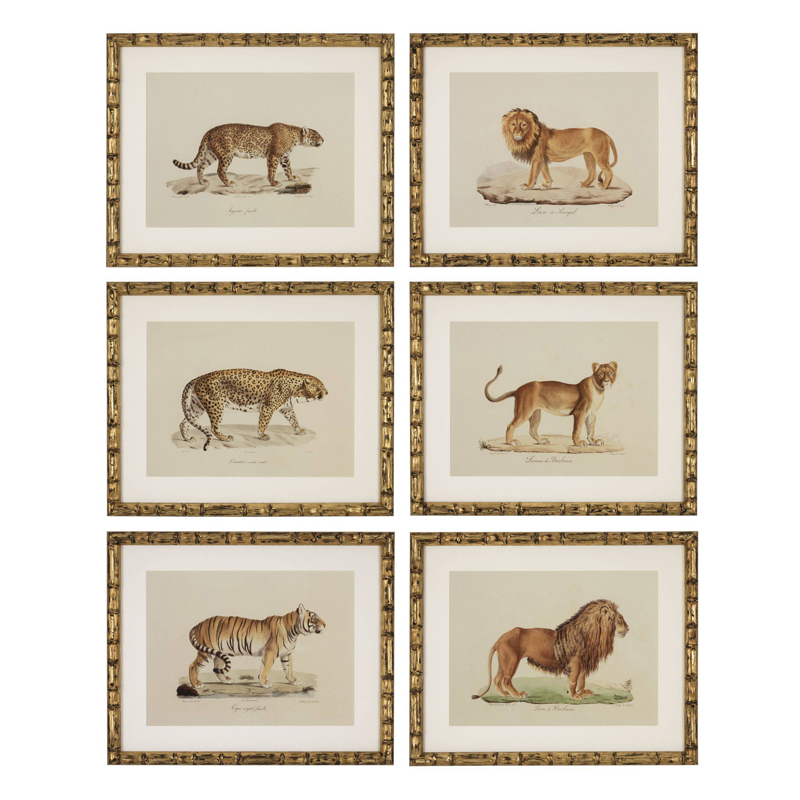 Комплект постеров Eichholtz Prints Lion Tigre Jaguar set of 6 Золотой Бежевый Мульти Комплект постеров Eichholtz Prints Lion Tigre Jaguar set of 6 Золотой Бежевый Мульти в Волгограде | Loft Concept