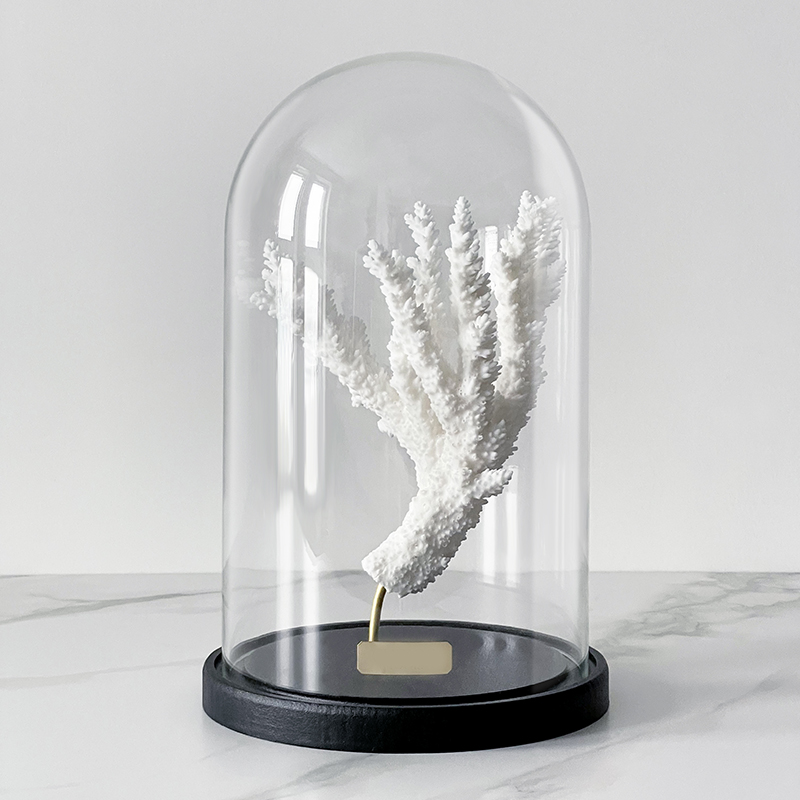 Статуэтка Natural Coral Branch Glass Cloche Статуэтка Natural Coral Branch Glass Cloche в Волгограде | Loft Concept
