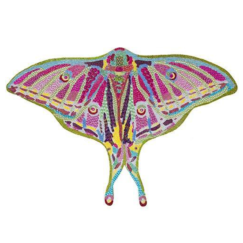 Картина “Spanish Moon Moth Butterfly Cut Out” Мульти Картина “Spanish Moon Moth Butterfly Cut Out” Мульти в Волгограде | Loft Concept