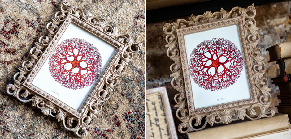 Постер Red Coral Poster 6 - Loft-Concept в Волгограде