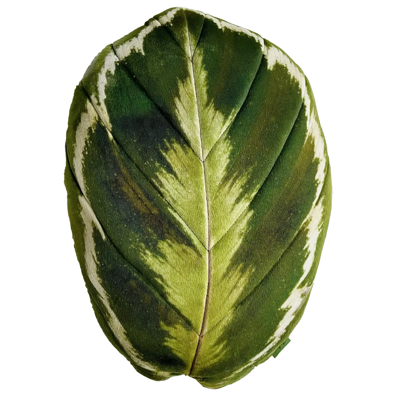 Декоративная подушка Botanical Cushion Calathea Medallion Зеленый Декоративная подушка Botanical Cushion Calathea Medallion Зеленый в Волгограде | Loft Concept