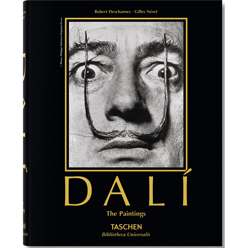 Salvador Dali. Paintings Salvador Dali. Paintings в Волгограде | Loft Concept