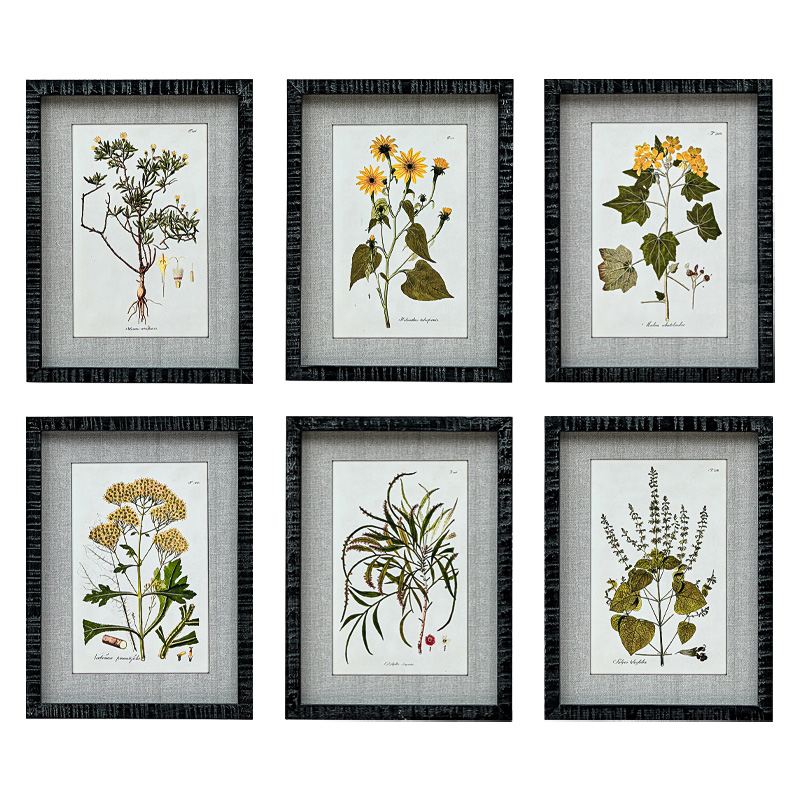 Набор постеров Herbarium Yellow Flowers Мульти Набор постеров Herbarium Yellow Flowers Мульти в Волгограде | Loft Concept