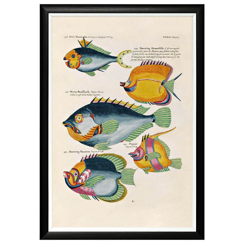 Постер в черной раме Fish Guide 20 Мульти Черный в Волгограде | Loft Concept 