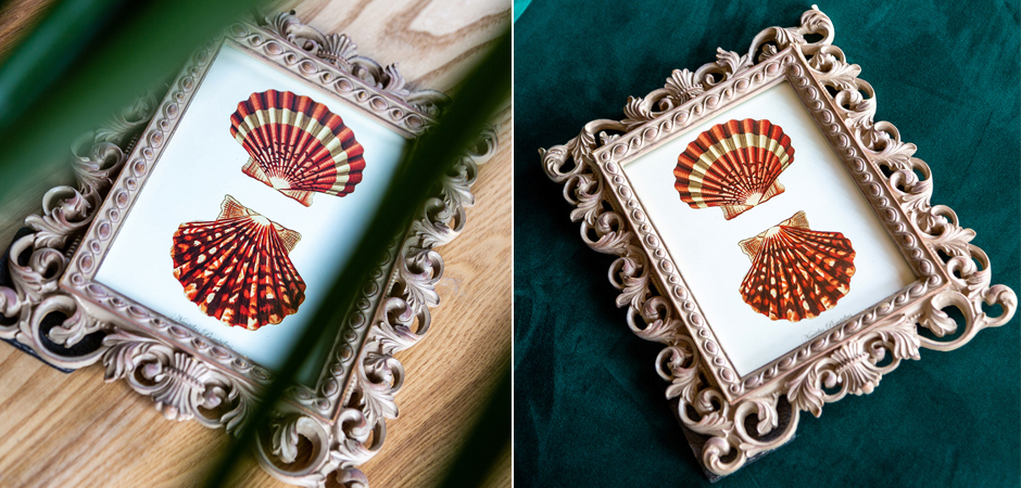 Постер Red Scallop Poster - Loft-Concept в Волгограде