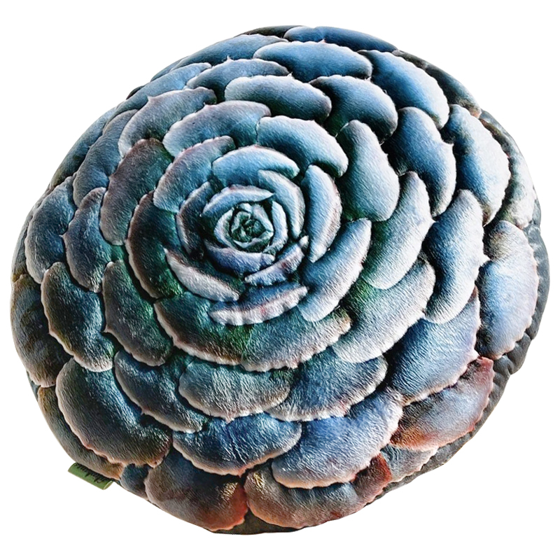 Декоративная подушка Botanical Cushion Succulentus Зеленый Зеленый шалфей Бирюзовый Декоративная подушка Botanical Cushion Succulentus Зеленый Зеленый шалфей Бирюзовый в Волгограде | Loft Concept