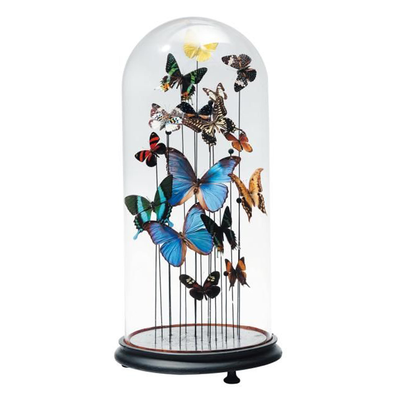 Статуэтка 15 Butterflies Glass Cloche Статуэтка 15 Butterflies Glass Cloche в Волгограде | Loft Concept