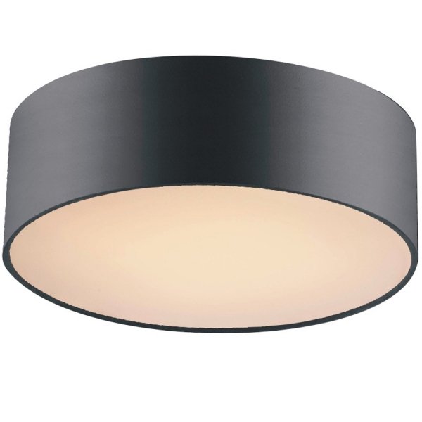 Потолочный светильник Cylindra Black 30 Черный Потолочный светильник Cylindra Black 30 Черный в Волгограде | Loft Concept