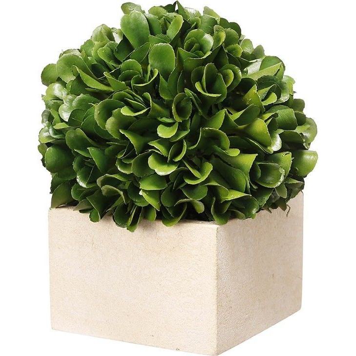 Декоративный искусственное растение Square boxwood Зеленый Бежевый Декоративный искусственное растение Square boxwood Зеленый Бежевый в Волгограде | Loft Concept