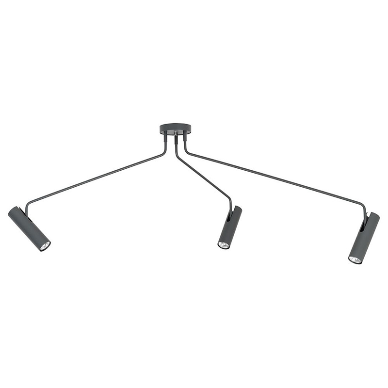 Потолочный светильник Tibo Branches Trumpet Tube graphite 3 Графит Потолочный светильник Tibo Branches Trumpet Tube graphite 3 Графит в Волгограде | Loft Concept