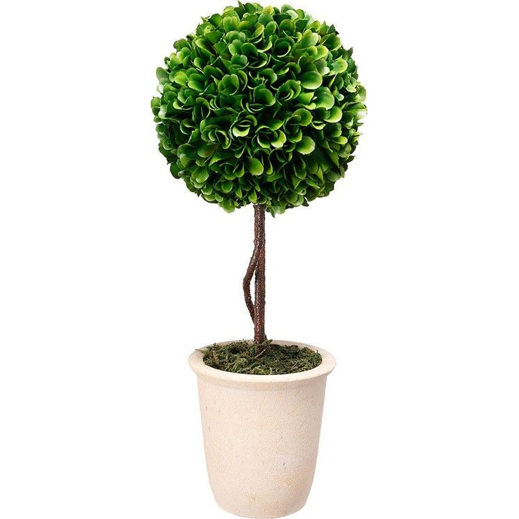 Декоративный искусственное растение Single boxwood Зеленый Бежевый Коричневый Декоративный искусственное растение Single boxwood Зеленый Бежевый Коричневый в Волгограде | Loft Concept