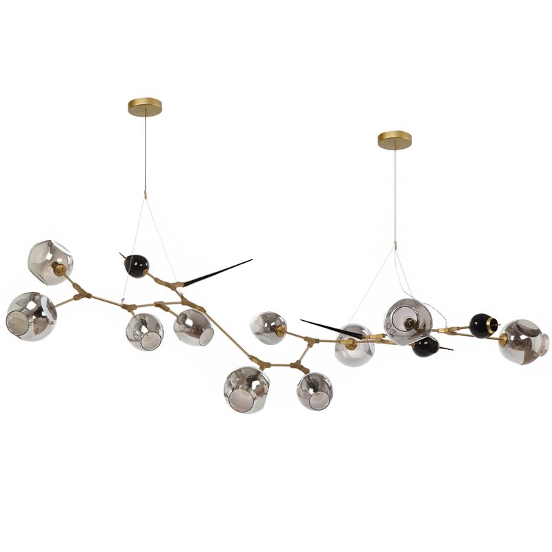 Люстра Chandelier bubbles and thorns Золотой Прозрачное Стекло Прозрачный черный Люстра Chandelier bubbles and thorns Золотой Прозрачное Стекло Прозрачный черный в Волгограде | Loft Concept