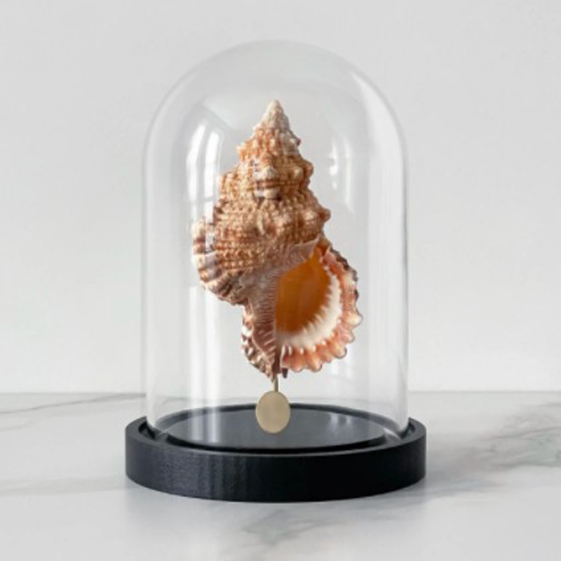 Статуэтка Bursa Rubeta Glass Cloche Статуэтка Bursa Rubeta Glass Cloche в Волгограде | Loft Concept