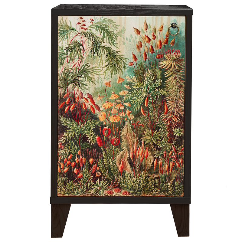 Тумба с цветочным изображением Floral Print Nighstand Черный Мульти Тумба с цветочным изображением Floral Print Nighstand Черный Мульти в Волгограде | Loft Concept
