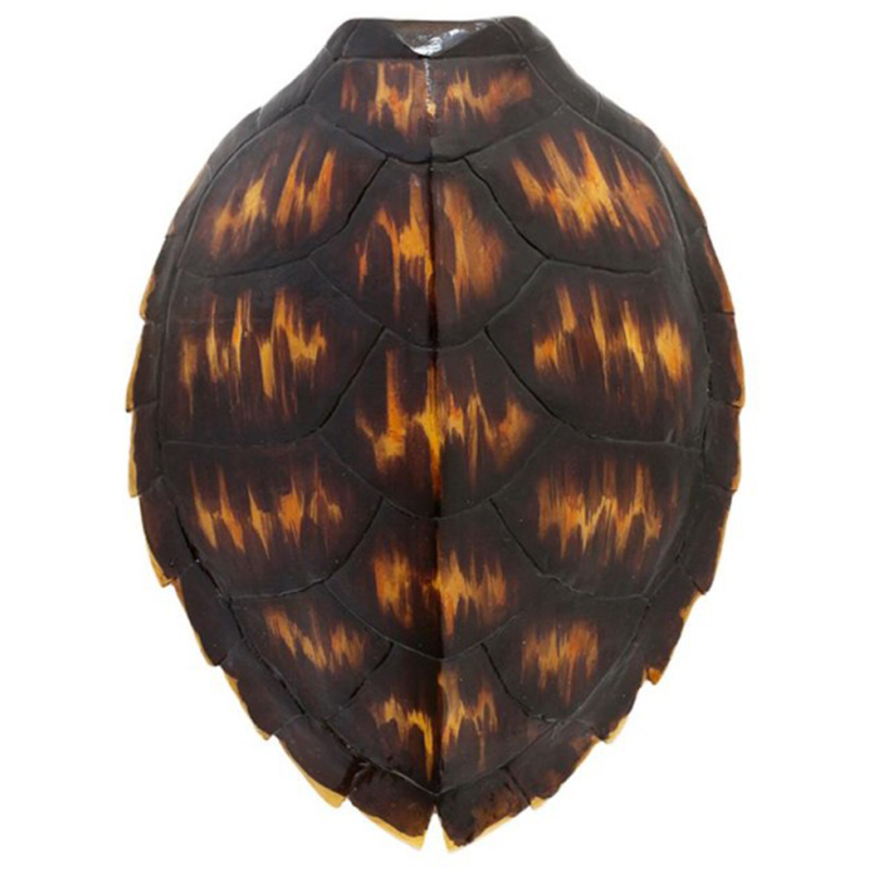 Аксессуар Turtle Shell Brown Orange Коричневый Оранжевый Аксессуар Turtle Shell Brown Orange Коричневый Оранжевый в Волгограде | Loft Concept