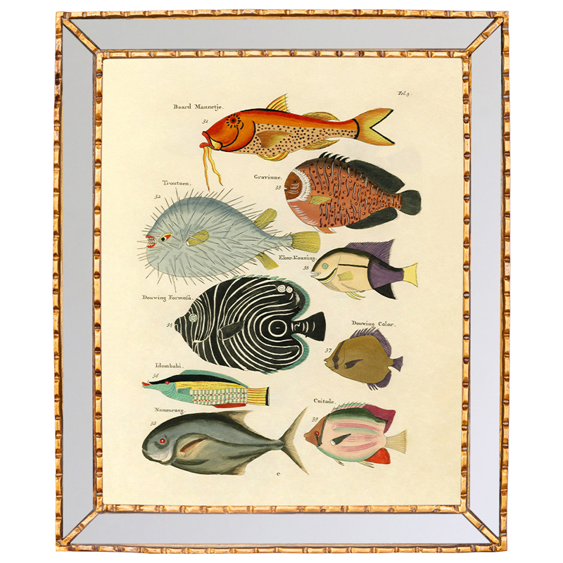 Постер в зеркальной раме Fish Guide Мульти Золотой в Волгограде | Loft Concept 