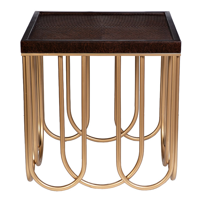 Приставной стол Cassel Side Table Дерево Табак Золотой Приставной стол Cassel Side Table Дерево Табак Золотой в Волгограде | Loft Concept