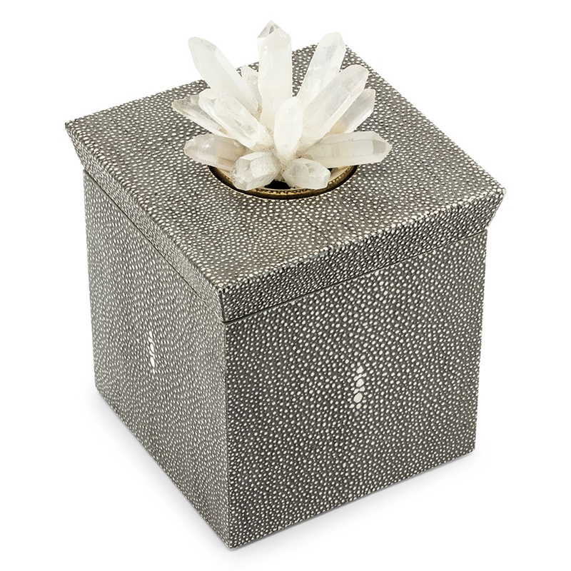 Шкатулка BOX KRIZIA STING SQ Светло-серый Прозрачный Шкатулка BOX KRIZIA STING SQ Светло-серый Прозрачный в Волгограде | Loft Concept