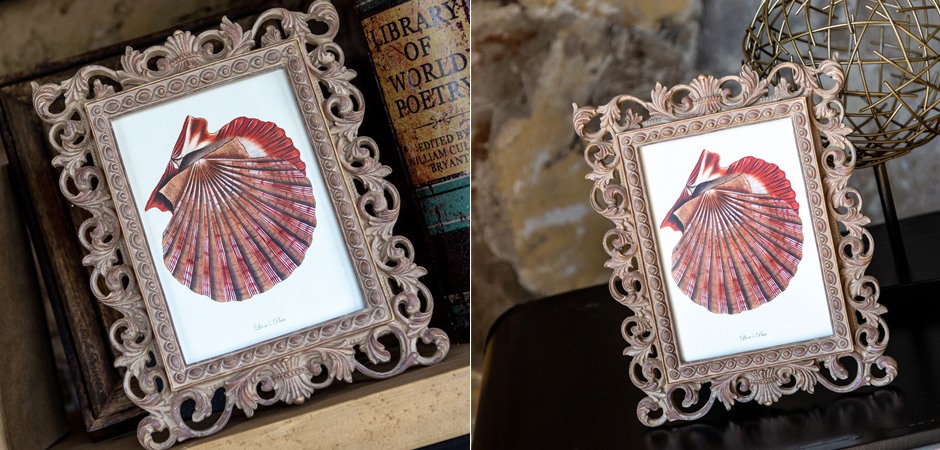 Постер Scarlet Scallop - Loft-Concept в Волгограде