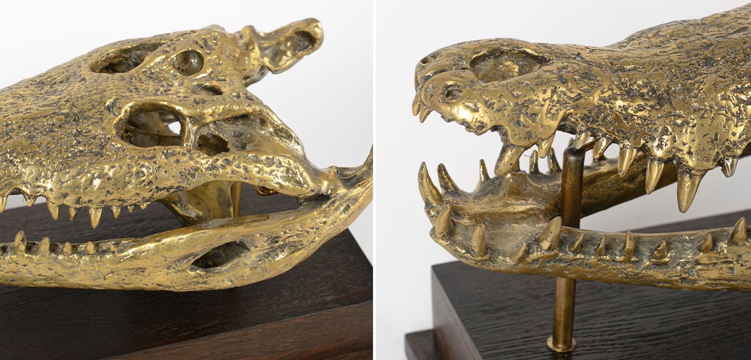 Череп Крокодила Латунь - фото №1
