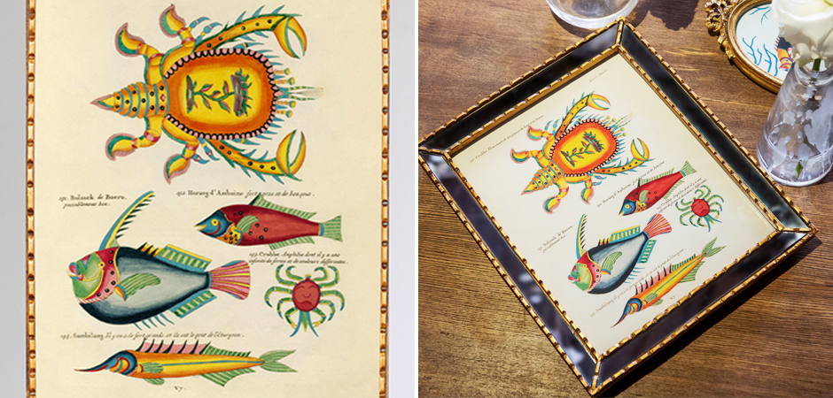 Постер в зеркальной раме Fish Guide 8 - Loft-Concept в Волгограде