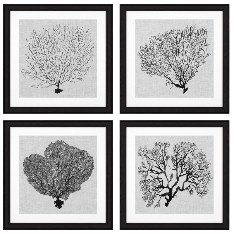 Комплект постеров Eichholtz Prints Shadow Sea Fans set of 4 Черный Черно-белый в Волгограде | Loft Concept 
