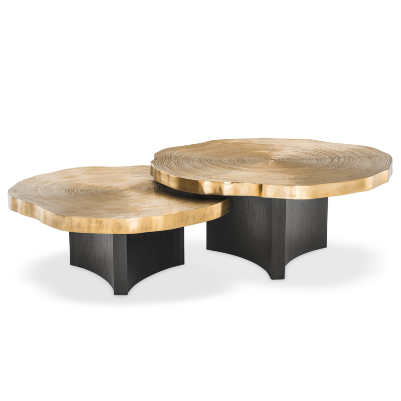 Комплект кофейных столов Eichholtz Coffee Table Thousand Oaks set of 2 Черный Латунь Комплект кофейных столов Eichholtz Coffee Table Thousand Oaks set of 2 Черный Латунь в Волгограде | Loft Concept