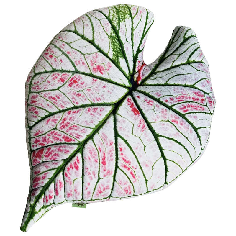 Декоративная подушка Botanical Cushion Caladium Rosebud Зеленый Бежевый Розовый Декоративная подушка Botanical Cushion Caladium Rosebud Зеленый Бежевый Розовый в Волгограде | Loft Concept