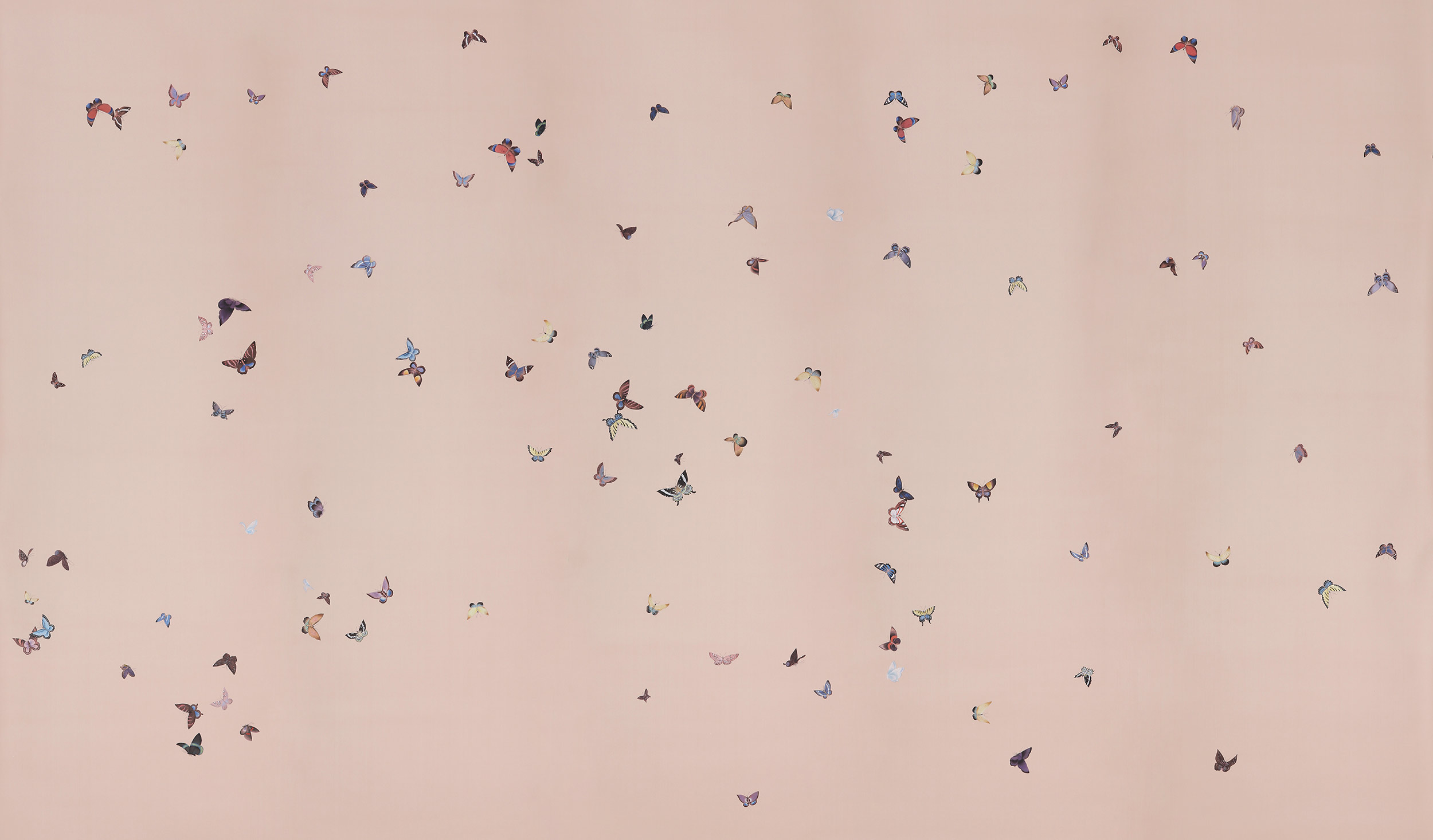 Обои ручная роспись Butterflies Icarus on Gentleman's Pink dyed silk Обои ручная роспись Butterflies Icarus on Gentleman's Pink dyed silk - постер Loft-Concept в Волгограде