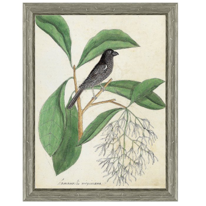 Постер Black Bird & White Flowers  в Волгограде | Loft Concept 
