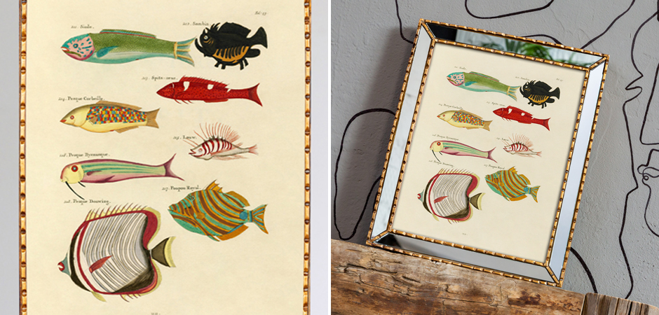 Постер в зеркальной раме Fish Guide 4 - Loft-Concept в Волгограде