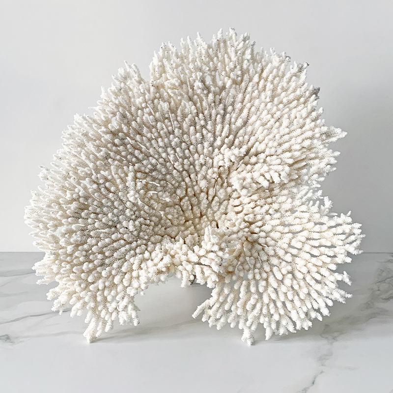 Статуэтка Table Coral Статуэтка Table Coral в Волгограде | Loft Concept