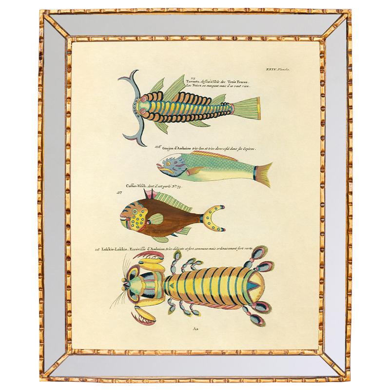 Постер в зеркальной раме Fish Guide 7 Мульти Золотой в Волгограде | Loft Concept 