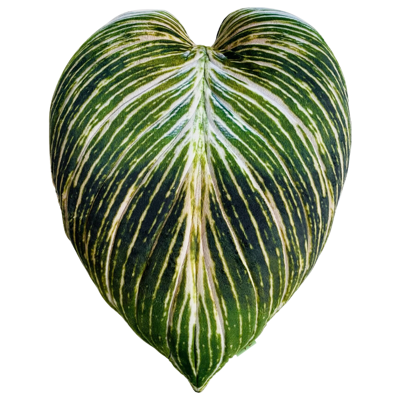 Декоративная подушка Botanical Cushion Philodendron Birkin Зеленый Салатовый Белый Декоративная подушка Botanical Cushion Philodendron Birkin Зеленый Салатовый Белый в Волгограде | Loft Concept