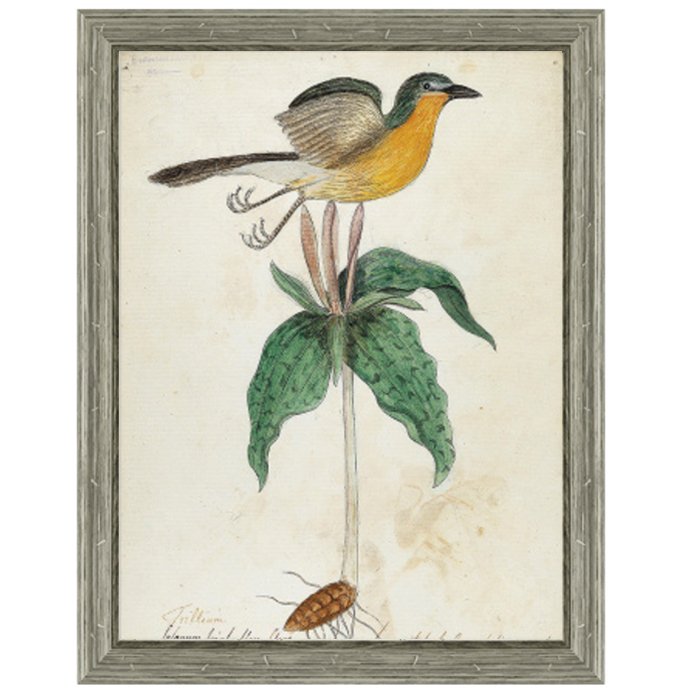 Постер Bird On Flower Постер Bird On Flower в Волгограде | Loft Concept