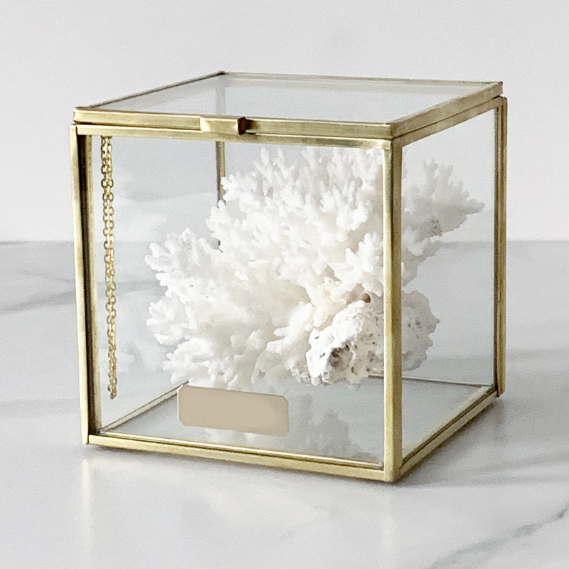 Статуэтка Natural Coral Glass Box S Статуэтка Natural Coral Glass Box S в Волгограде | Loft Concept