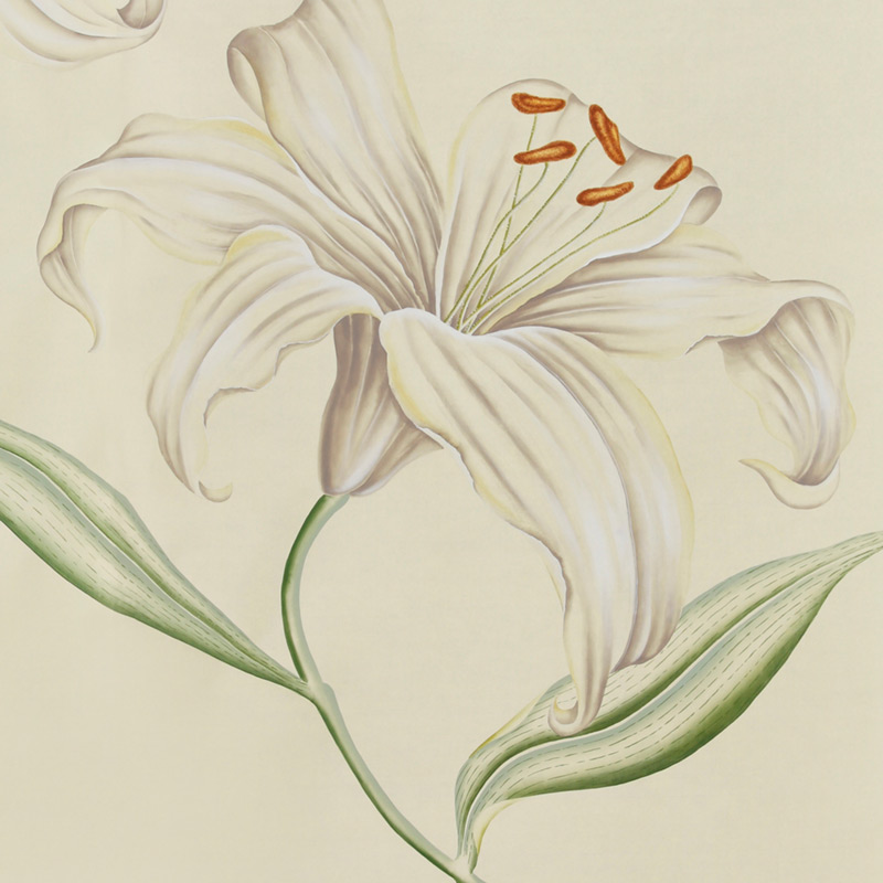 Обои ручная роспись Lilium Special Colourway on Ivory dyed silk Обои ручная роспись Lilium Special Colourway on Ivory dyed silk в Волгограде | Loft Concept