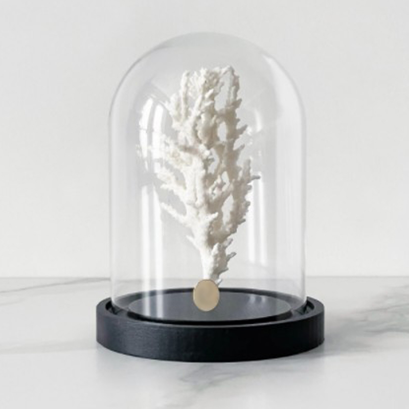 Статуэтка White Coral Glass Cloche Статуэтка White Coral Glass Cloche в Волгограде | Loft Concept