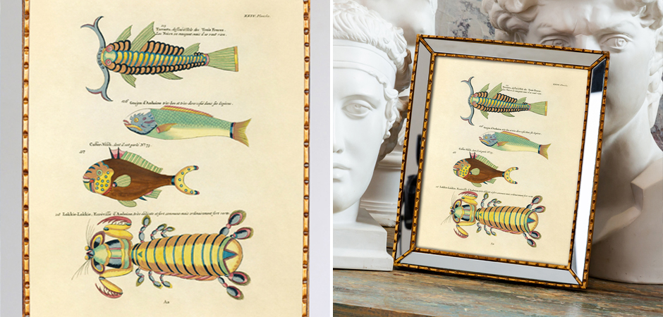 Постер в зеркальной раме Fish Guide 7 - Loft-Concept в Волгограде